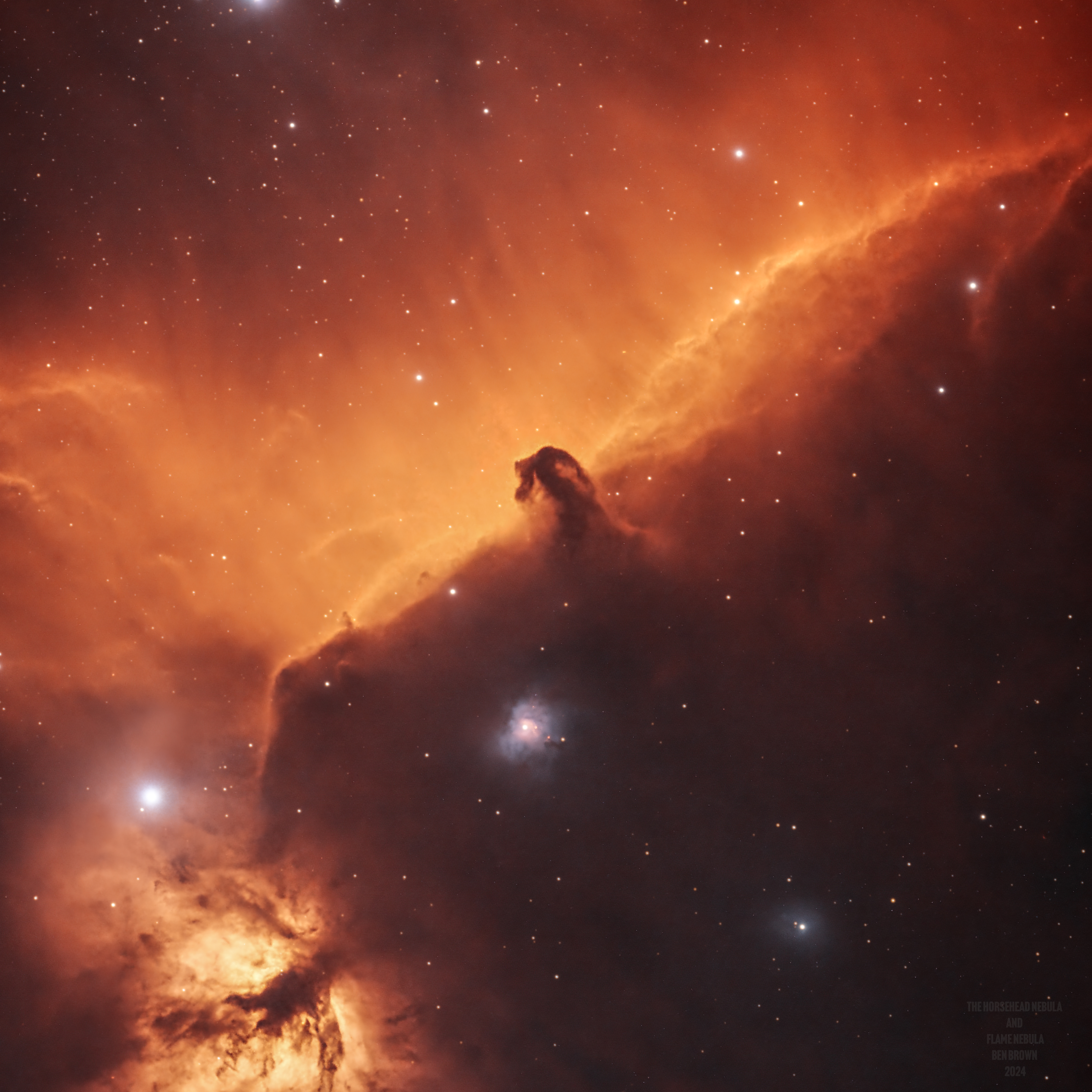 Horsehead and Flame Nebulae