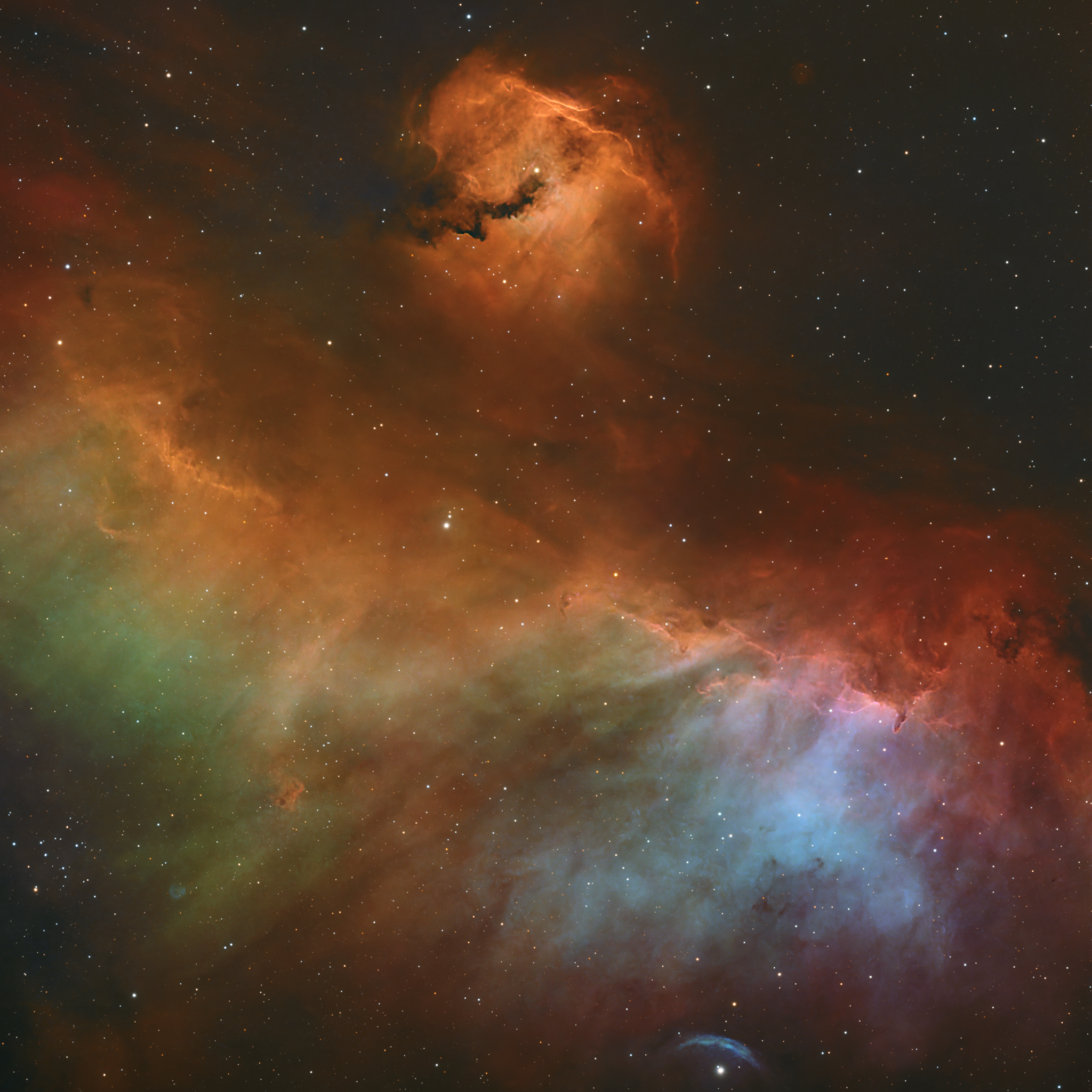Seagull Nebula